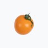 Fresh Tomatoes - Image 3